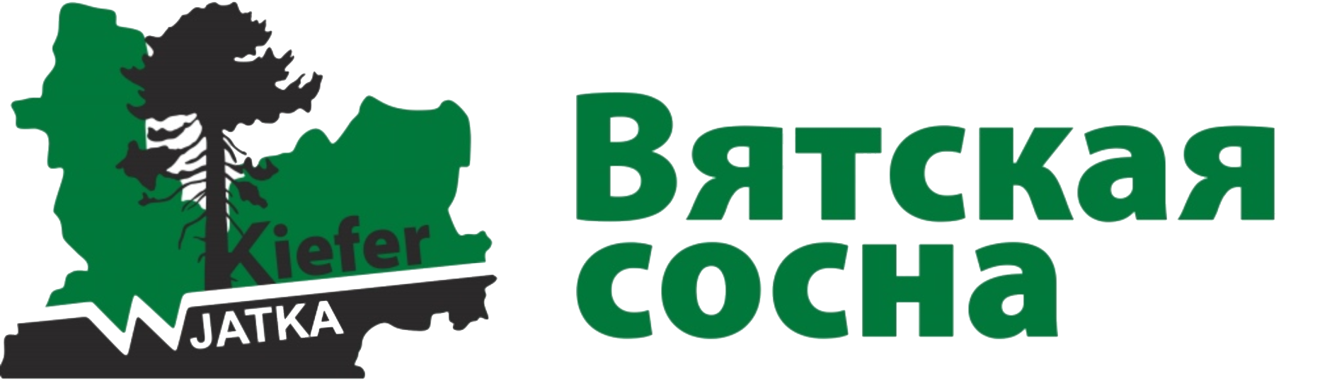 Вятская сосна